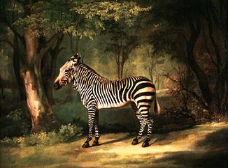 George Stubbs