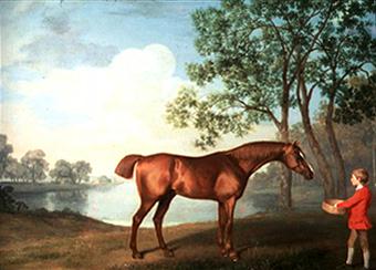 George Stubbs